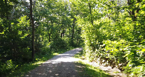 Sentier partagé