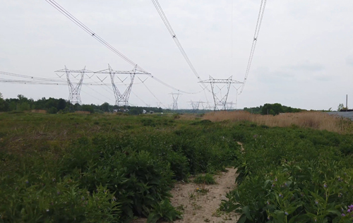 L'Électrisante