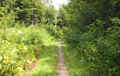 La Penney Lane